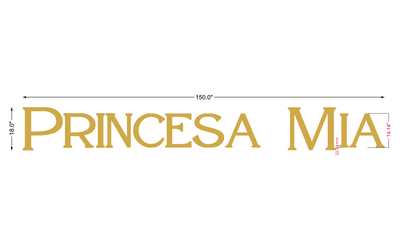 Payment Link for - Princess Mia - Instagram