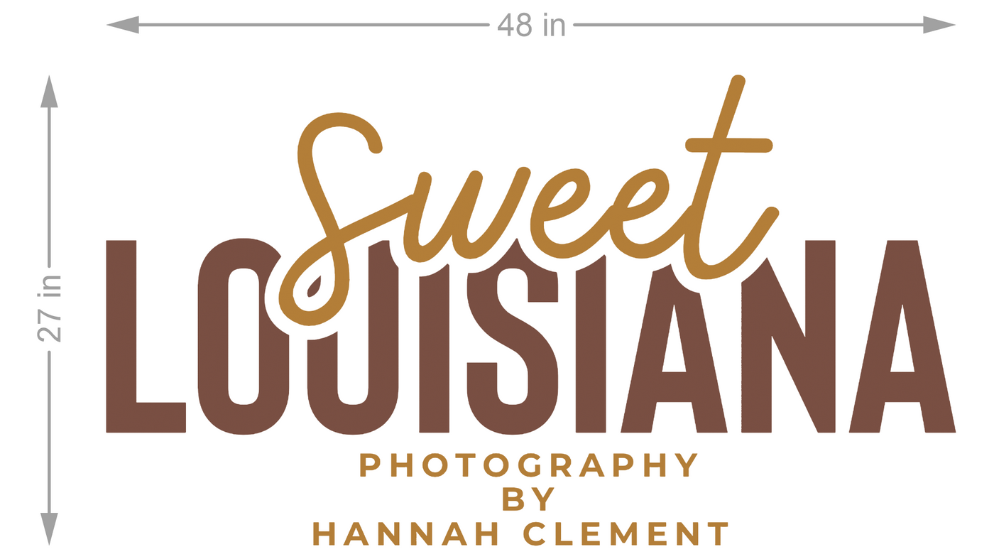 Custom Signs for Hannah Clement
