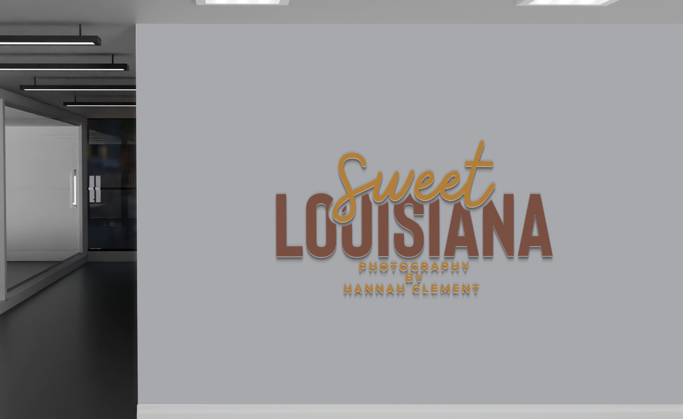 Custom Signs for Hannah Clement
