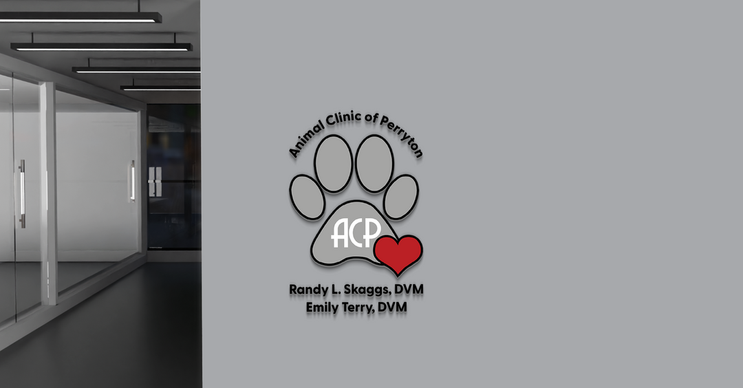 Custom Signs for Shelby Tiemann